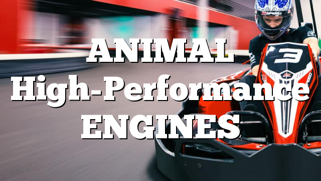 ANIMAL High-Performance ENGINES
